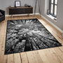 Conceptum Els1902 Alfombra de Terciopelo Multicolor 80 x 120 cm